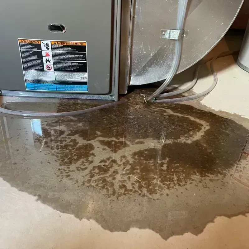 Appliance Leak Cleanup in Cedaredge, CO